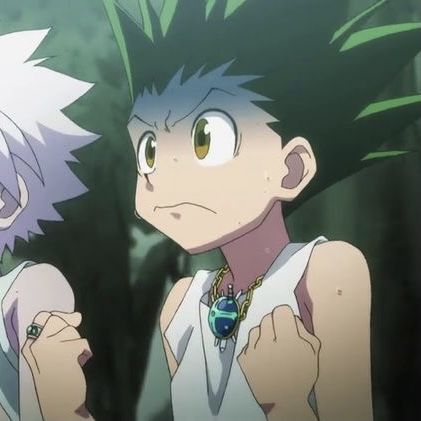 Featured image of post Hunterxhunter Pfp Gif