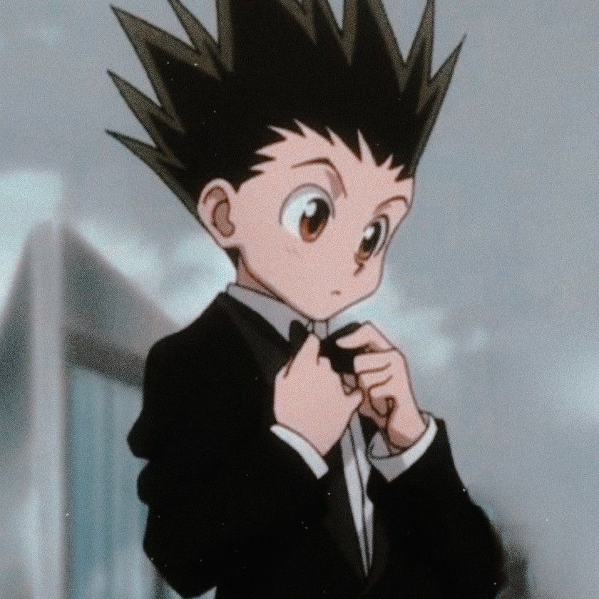 Featured image of post Hunterxhunter Pfp Gon